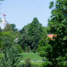 Ein üppiger grüner Park mit großen Bäumen und Menschen, die auf einem Weg Rad fahren. Im Hintergrund ist ein im Bau befindliches Gebäude mit einem roten Kran teilweise über den Baumwipfeln zu sehen.
